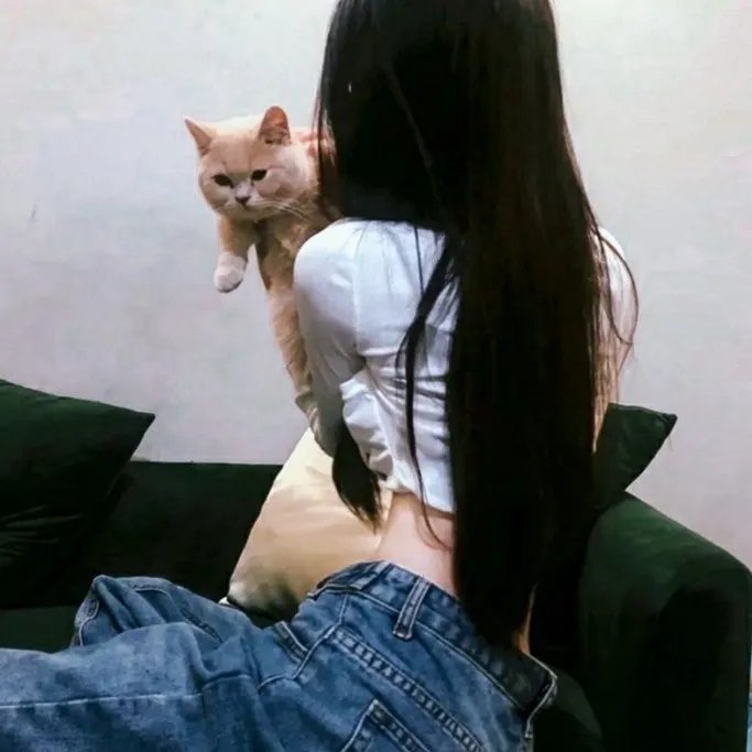 爱的透视图 在线观看